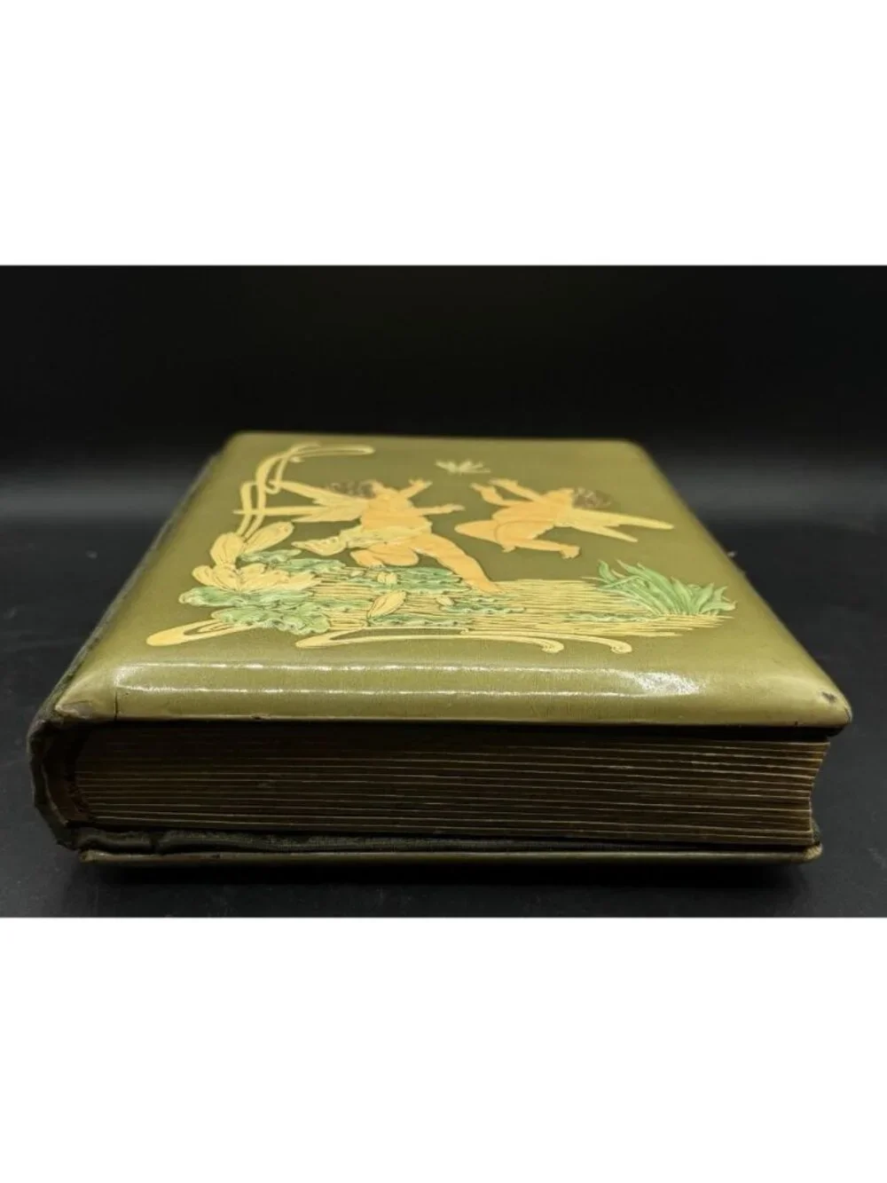 Victorian Green Celluloid Cherubs Dragonfly Photo Album Antique No Latch READ